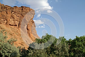 Arizona Mountain Beauty