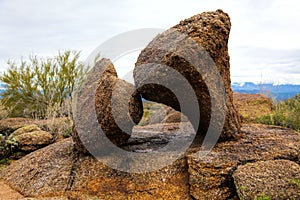 Arizona Mushroom Rocks