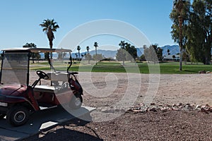 Golf Course and Palm Trees