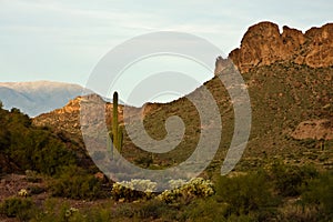 Arizona's Lost Dutchman State Park