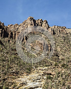 Arizona's Sabino Canyon