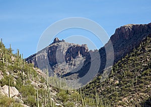 Arizona's Sabino Canyon