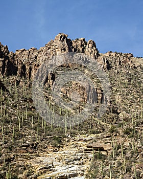Arizona's Sabino Canyon photo