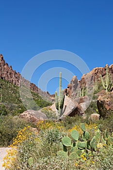 Arizona's Superstition Mountains