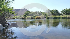 Arizona, Salt River, A view looking upstream on the Salt River with trees and a mountain