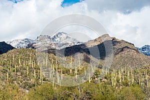 Arizona snow capped mountains