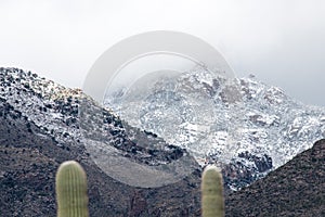 Arizona snow capped mountains