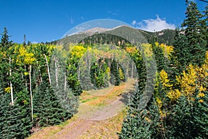 Arizona Snowbowl in summertime in Flagstaff,