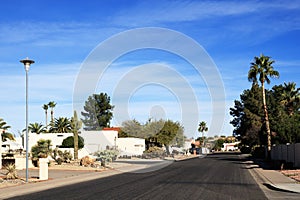 Arizona Streets Desert Style Xeriscaping