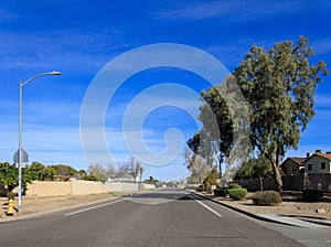 Arizona Streets Desert Style Xeriscaping