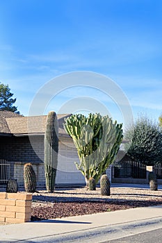 Arizona Streets Desert Style Xeriscaping