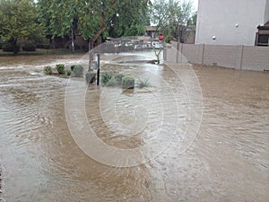 Arizona Streets in Monsoon Rain