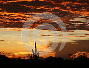 Arizona sunset