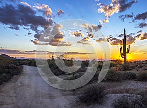 Stunning Arizona sunset along hiking trail in Scottsdale, AZ photo