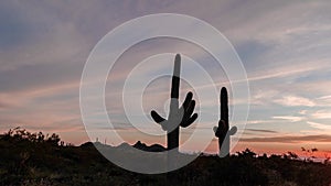 Arizona Sunset Landscape Time Lapse With Cactus Near Phoenix