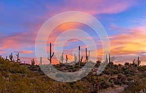 Arizona Sunset Sky Landscape Near Phoenix