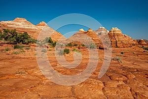 Arizona Wave - Famous Geology rock formation in Pariah Canyon