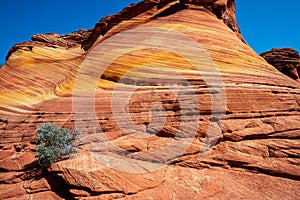 Arizona Wave - Famous Geology rock formation in Pariah Canyon, USA