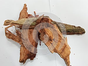 Arjuna bark smooth gray.Terminalia arjuna bark photo