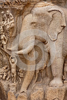 Arjuna's Penance Detail