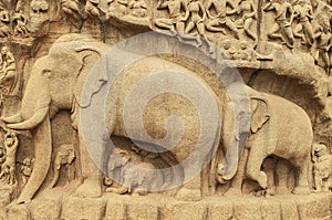 Arjuna`s Penance at Mahabalipuram, Tamil Nadu,India,Asia