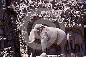 Arjuna's Penance,Mamallapuram,Tamil Nadu,India
