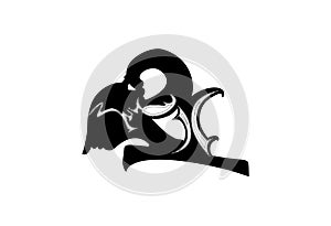 Arjuna wayang vector illustration isolated in white background photo