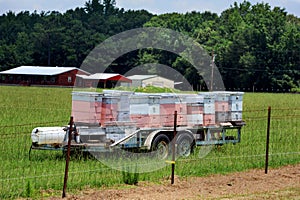 Arkansas Bee Hives in Pink and White