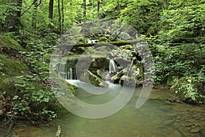 Arkansas peaceful mossy green waterfall