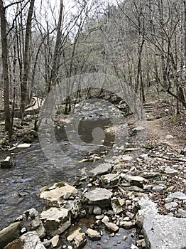 Arkansas River with rocks and trees