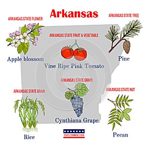 Arkansas. Set of USA official state symbols