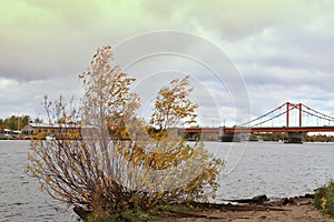 Arkhangelsk. Autumn day on the Bank of the Northern Dvina river