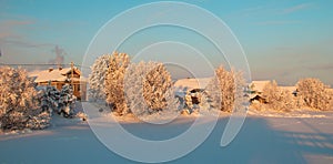 Arkhangelsk region. Winter in the vicinity of the village Levkovka