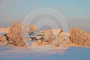 Arkhangelsk region. Winter in the vicinity of the village Levkovka