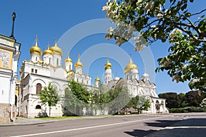 Arkhangelsky and Blagoveshchensky Cathedrals of Moscow Kremlin in spring, Russia photo