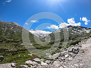 Arlhoehe - A blossoming Alpine meadow