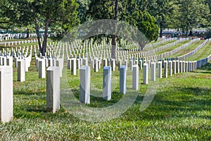 Arlington Cemetary, Washinton, DC photo