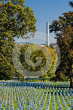 Arlington Cemetery