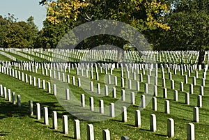 Arlington Cemetery