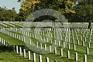 Arlington Cemetery photo