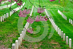 Arlington cemetery