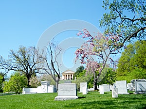 Arlington Cemetery springtime 2010