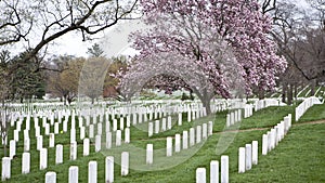 Arlington Cemetery in Washington DC