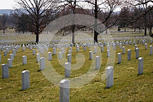 Arlington Graves 144