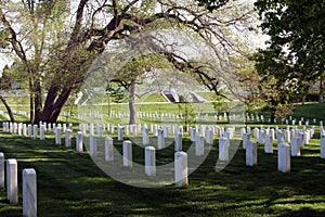 Arlington Gravestones