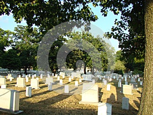 Arlington National Cemetary