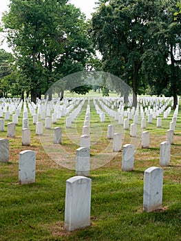 Arlington National Cemetery