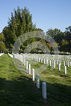 Arlington National Cemetery