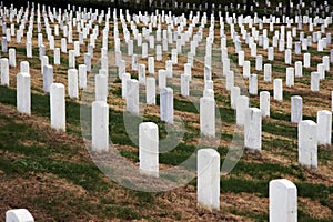 Arlington National Cemetery