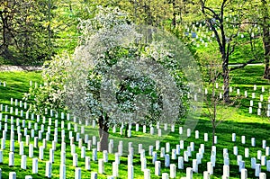 Arlington National Cemetery